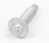 Болт з головкою системи TORX з чорного металу