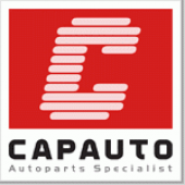 Фильтр топливный 31911-3A000 (CCFFH033) CAPAUTO