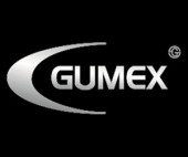 Gumex | 21121001300 | подушка двигуна 2112 ГІТАРА в зб. GUMEX 20733
