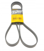 Пас поліклиновий Ford Transit 2.0/2.3 91-00/MB C-c