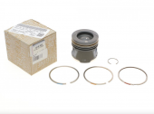 COLLECTION PISTON