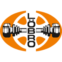 Пыльник шруса