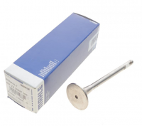 Клапан выпускной                                            