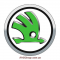 STICKER  ( 000010006  SKODA )