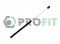 Логотип PROFIT