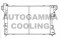 Логотип AUTOGAMMA