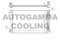 Логотип AUTOGAMMA