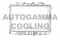 Логотип AUTOGAMMA