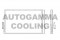 Логотип AUTOGAMMA