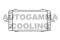 Логотип AUTOGAMMA