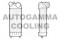 Логотип AUTOGAMMA