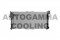 Логотип AUTOGAMMA