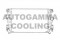 Логотип AUTOGAMMA