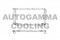 Логотип AUTOGAMMA
