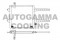 Логотип AUTOGAMMA