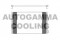 Логотип AUTOGAMMA