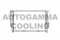 Логотип AUTOGAMMA