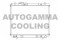Логотип AUTOGAMMA