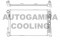 Логотип AUTOGAMMA