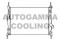 Логотип AUTOGAMMA