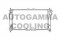 Логотип AUTOGAMMA
