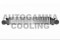 Логотип AUTOGAMMA