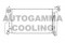 Логотип AUTOGAMMA