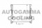 Логотип AUTOGAMMA