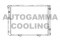 Логотип AUTOGAMMA