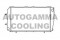 Логотип AUTOGAMMA