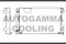 Логотип AUTOGAMMA
