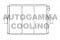 Логотип AUTOGAMMA