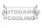 Логотип AUTOGAMMA