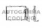Логотип AUTOGAMMA