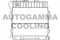 Логотип AUTOGAMMA