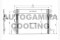 Логотип AUTOGAMMA