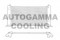 Логотип AUTOGAMMA