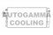 Логотип AUTOGAMMA
