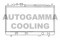 Логотип AUTOGAMMA