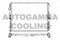 Логотип AUTOGAMMA
