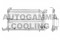 Логотип AUTOGAMMA