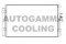 Логотип AUTOGAMMA