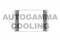 Логотип AUTOGAMMA