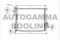 Логотип AUTOGAMMA