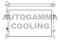 Логотип AUTOGAMMA
