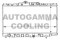 Логотип AUTOGAMMA