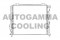 Логотип AUTOGAMMA
