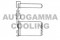 Логотип AUTOGAMMA