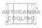 Логотип AUTOGAMMA