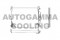 Логотип AUTOGAMMA